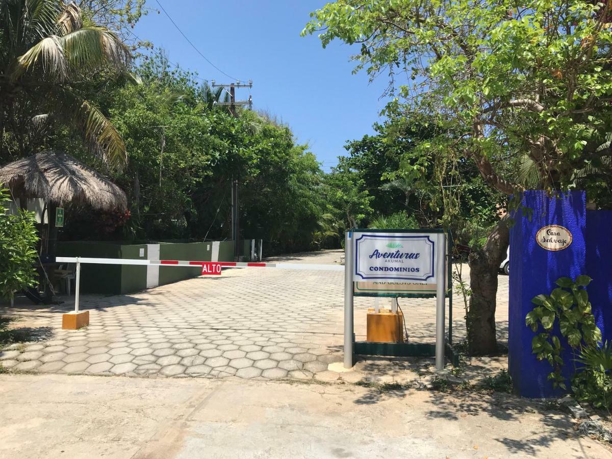Beachfront Hammock Heaven 아쿠말 외부 사진